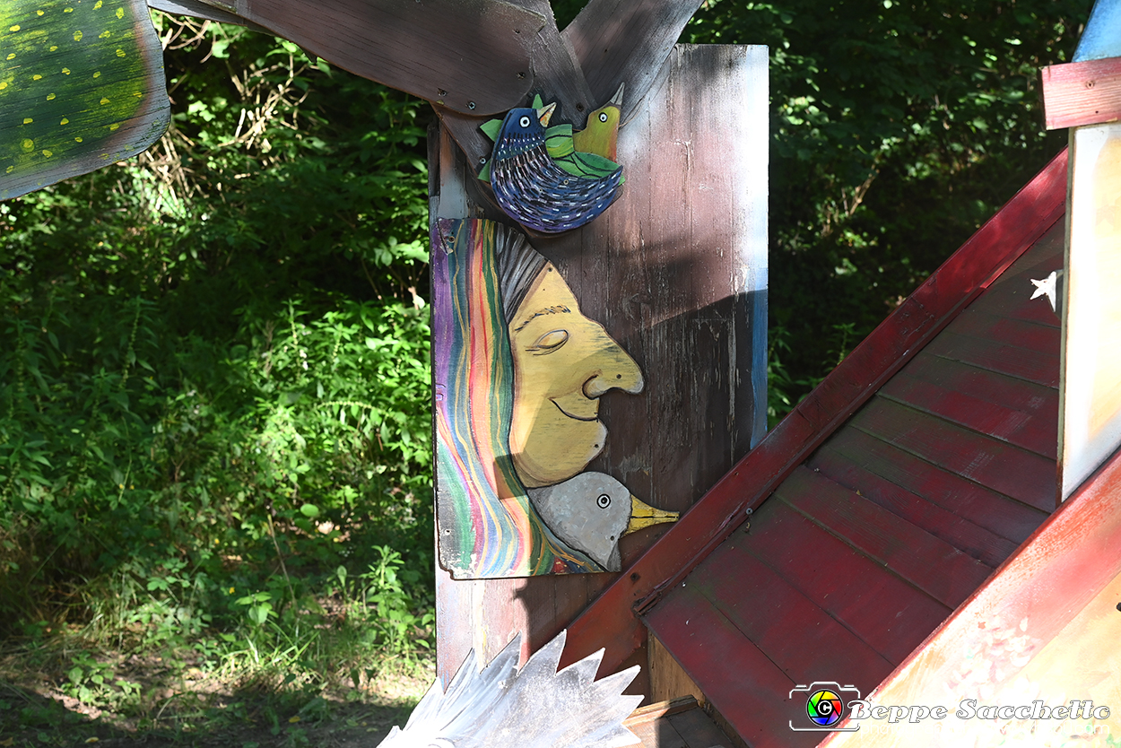 VBS_4814 - Il bosco fatato - Montaldo Roero.jpg